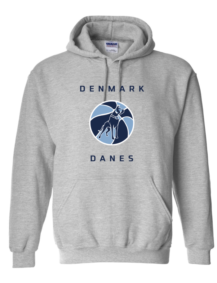 2024 Danes Girl's Danes Ball Logo Heavy Blend™ Hooded