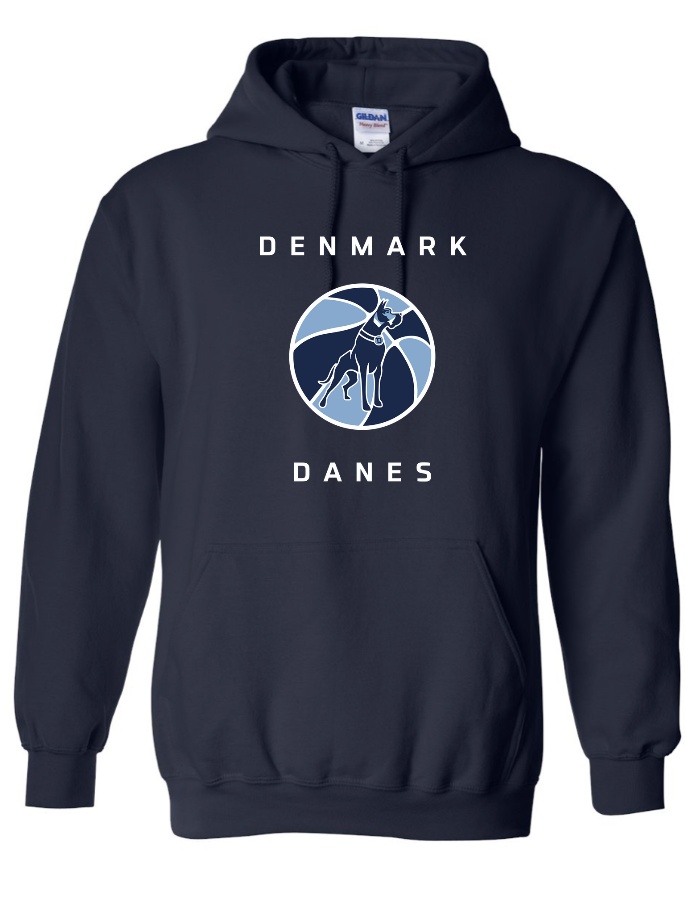 2024 Danes Girl's Danes Ball Logo Heavy Blend™ Hooded